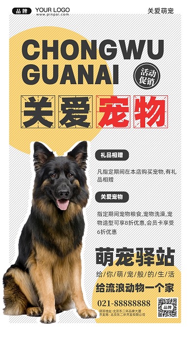 关爱宠物摄影图手机海报