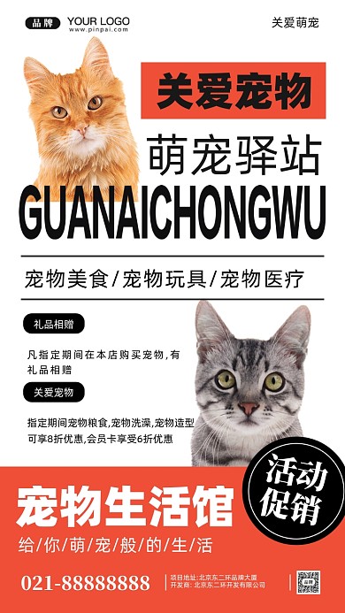 关爱宠物摄影图手机海报