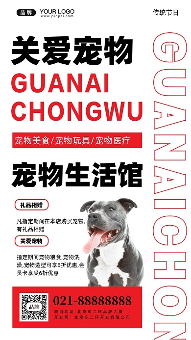 关爱宠物摄影图手机海报