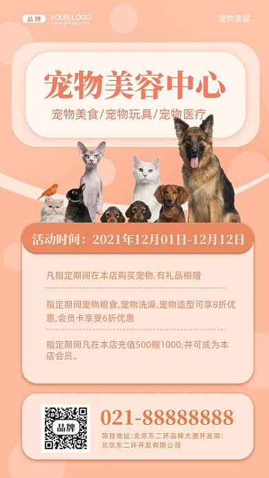 可爱萌宠活动促销摄影图手机海报