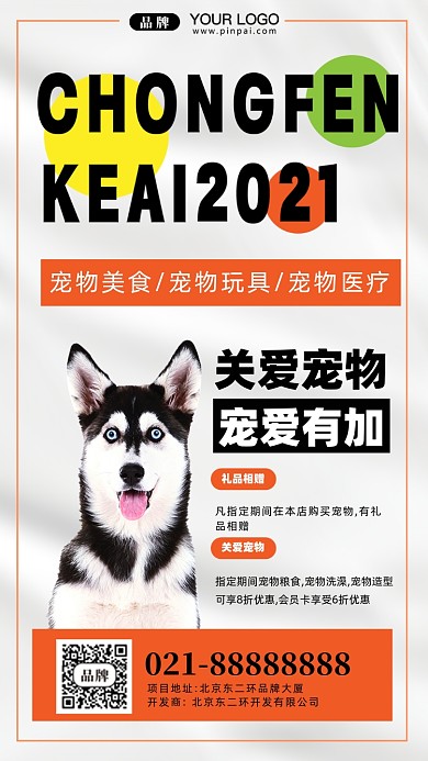 关爱宠物摄影图手机海报