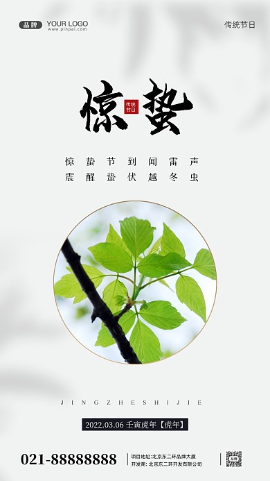中国传统节日惊蛰摄影图手机海报