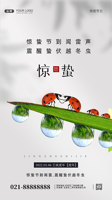 中国传统节日惊蛰摄影图手机海报