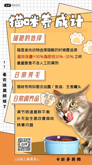 宠物猫咪科普猫粮网格摄影图海报