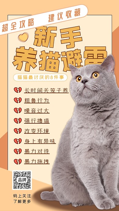 宠物科普新手养猫猫咪摄影图海报