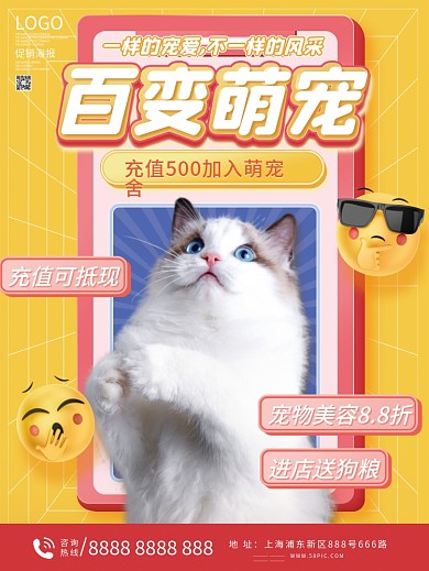 宠物美容造型促销海报