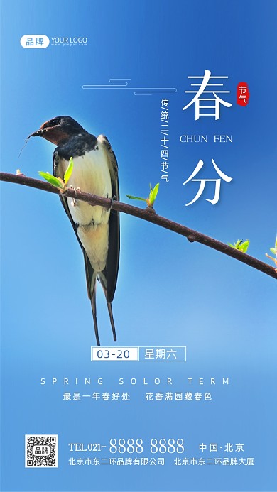 春分节气传统节气摄影图海报