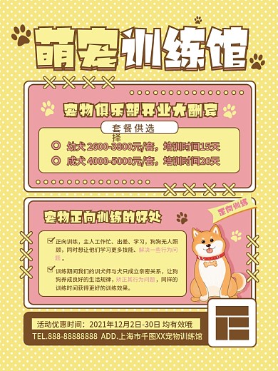 宠物训练行为纠正训练馆开业宣传海报