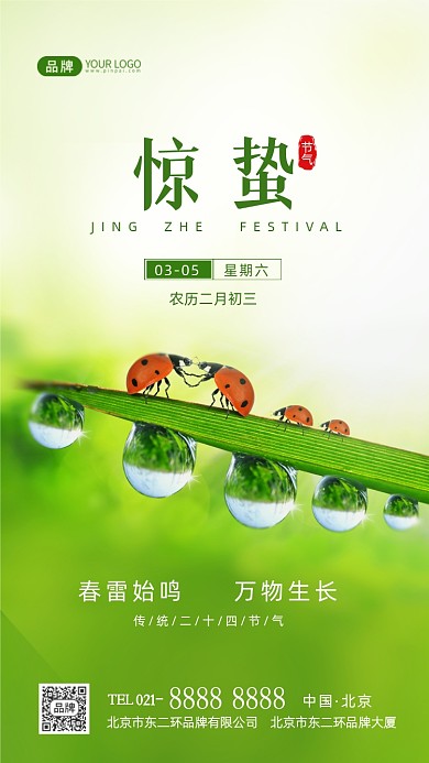 惊蛰节气传统节气摄影图海报