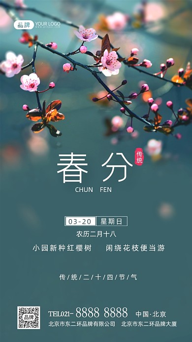 春分节气传统节气摄影图海报