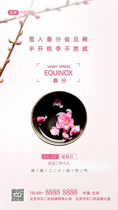 春分节气传统节气摄影图海报