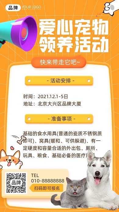 宠物领养活动小狗摄影图海报