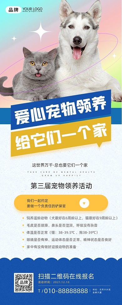 宠物领养活动小狗摄影图海报