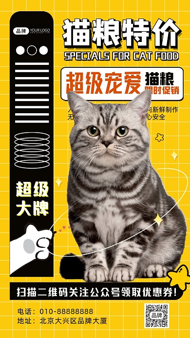 宠物活动促销猫咪摄影图海报