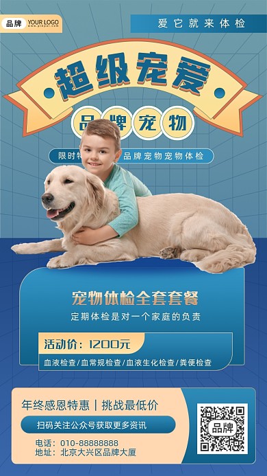 宠物医院狗狗摄影图海报
