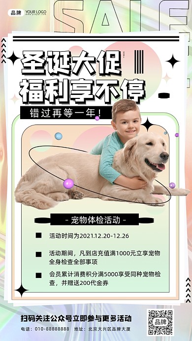圣诞宠物体检活动狗狗摄影图海报