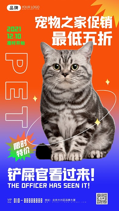 宠物之家活动促销猫咪摄影图海报