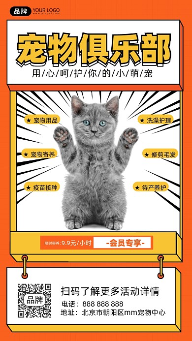 宠物俱乐部摄影图海报