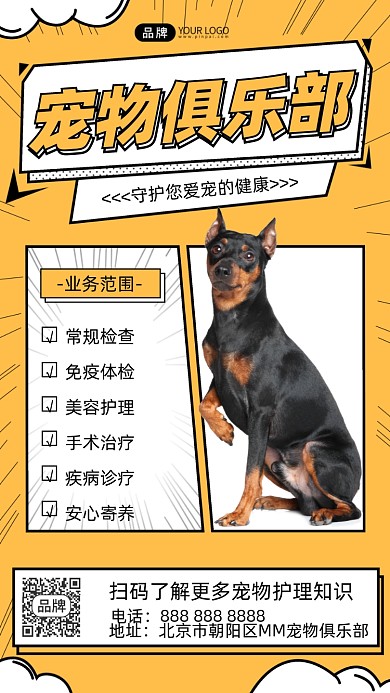 宠物服务摄影图海报