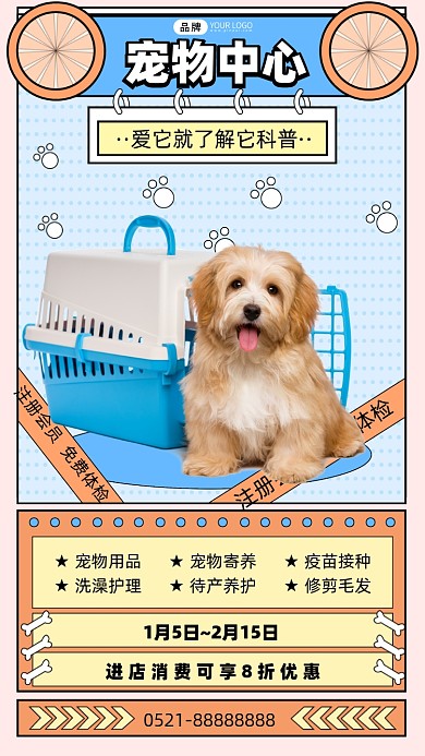 宠物服务摄影图海报