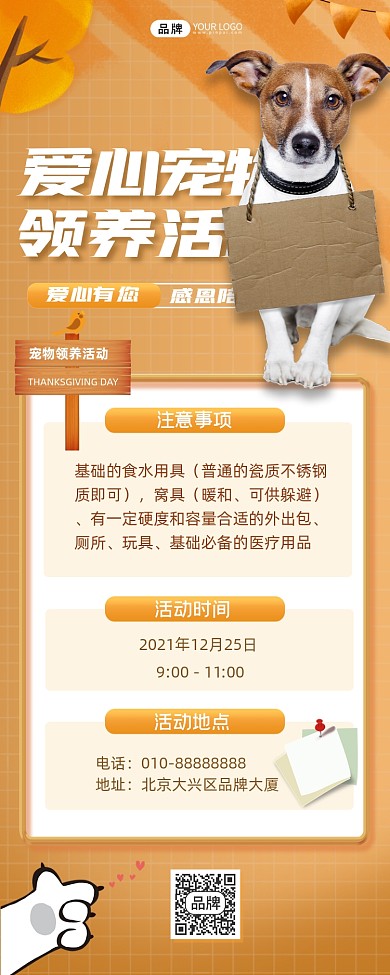 宠物领养活动狗狗摄影图海报