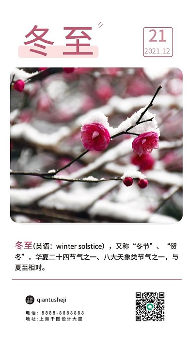 冬季梅花实拍冬至日签手机海报