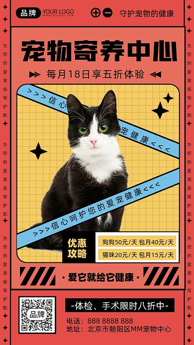 宠物猫美容寄养摄影图海报