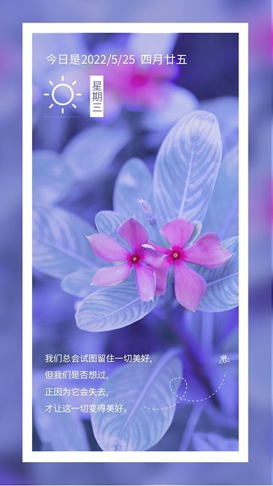 长春花2022潘通流行色小清新日签卡片