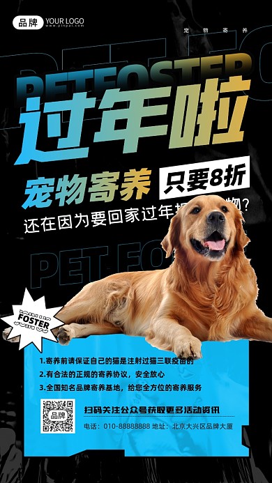 宠物寄养活动狗狗摄影图海报