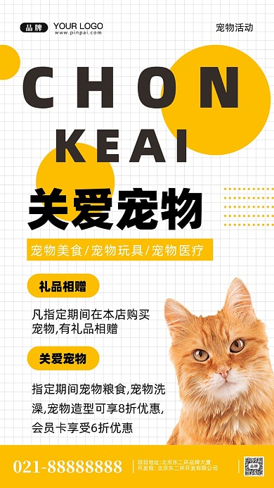 宠物美容宠物医院摄影图手机海报