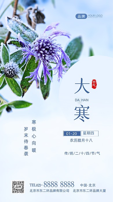 大寒节气传统节气摄影图海报