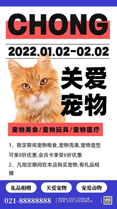 宠物美容宠物医院摄影图手机海报