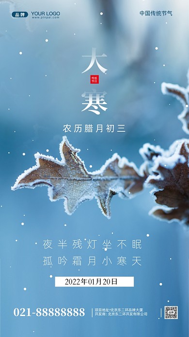 中国传统节气大寒摄影图手机海报