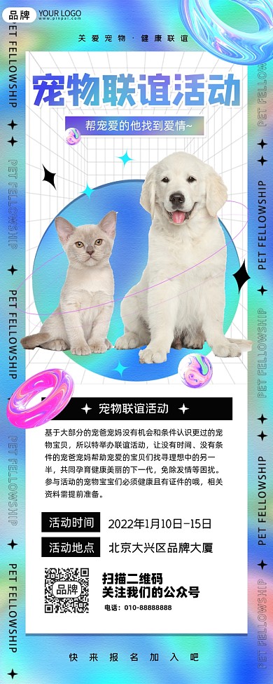 宠物联谊活动狗狗摄影图海报