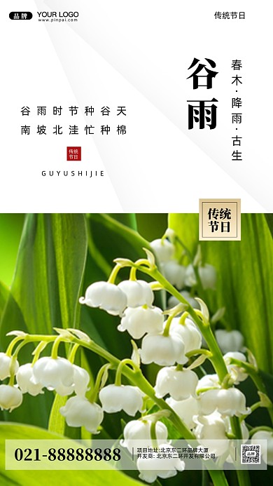 中国传统节气谷雨摄影图手机海报