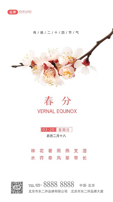春分节气传统节气摄影图海报