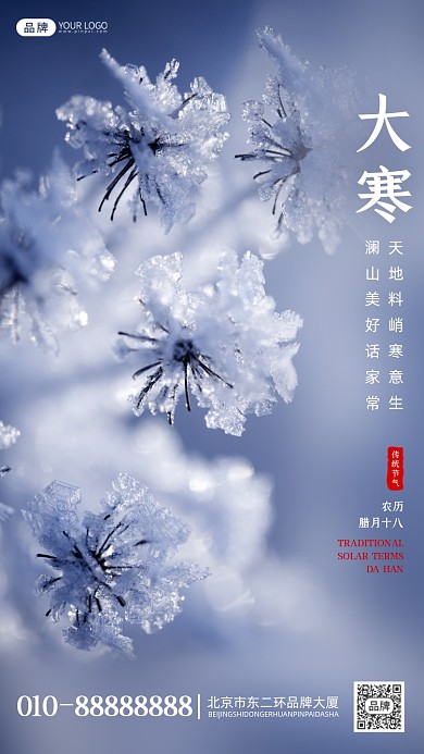 中国传统节气大寒摄影图海报