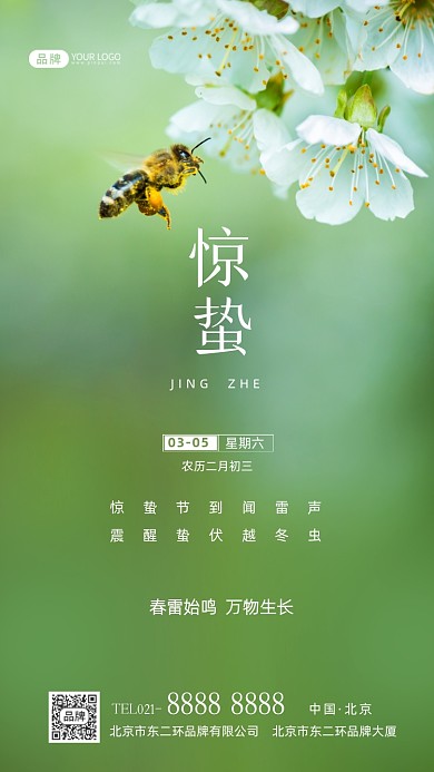 惊蛰节气传统节气摄影图海报