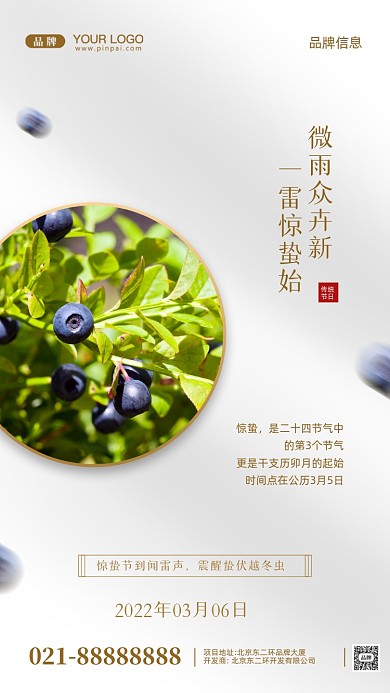 中国传统节日惊蛰摄影图手机海报