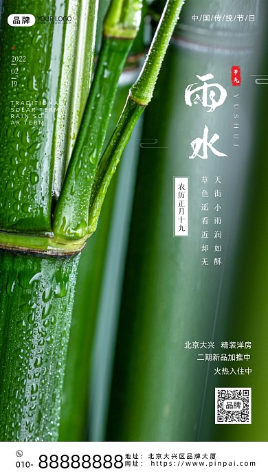 中国传统节气雨水节气竹子摄影图海报