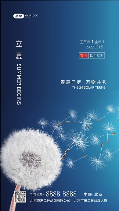 立夏节气二十四节气蒲公英摄影图海报