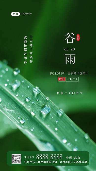 谷雨节气传统节气摄影图海报