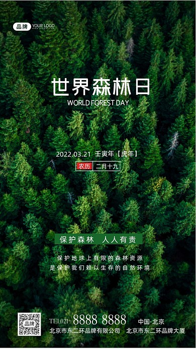 世界森林日保护森林摄影图海报