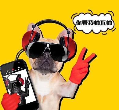 小狗比耶朋友圈封面