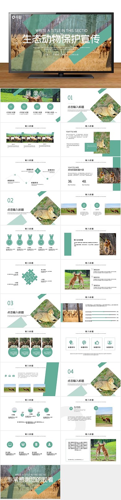 风生态动物保护宣传PPT
