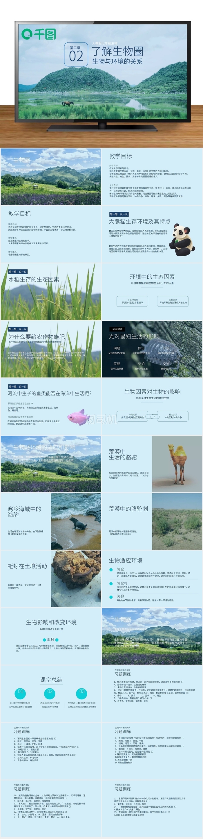 新人教版生物七年級生物與環(huán)境的關(guān)系