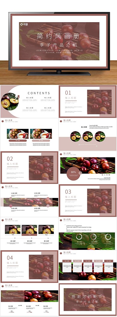 总结产品推广品牌介绍通用PPT
