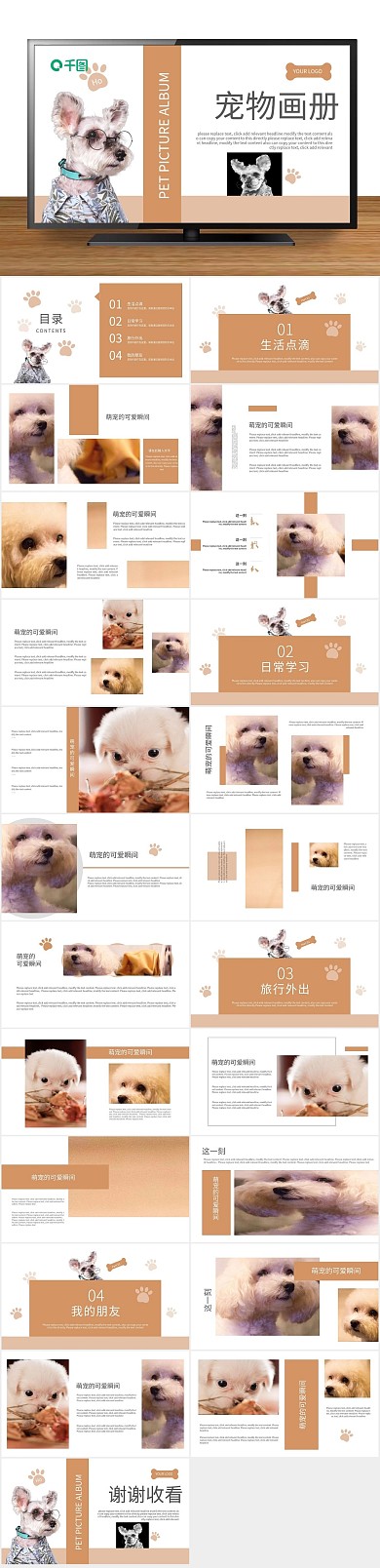 品牌宣传爱护小动物主题PPT
