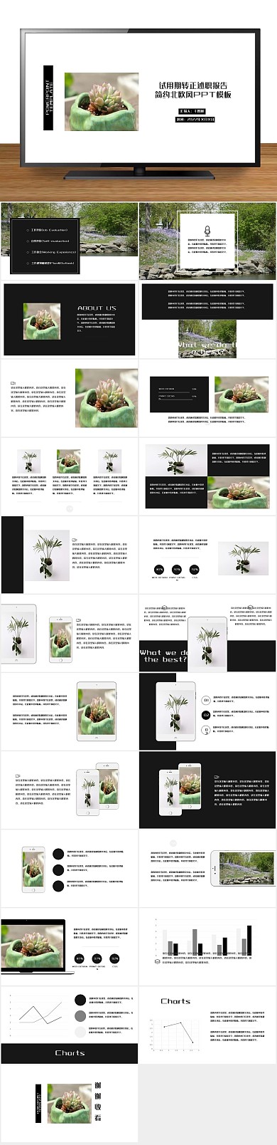 述职报告简约北欧风PPT
