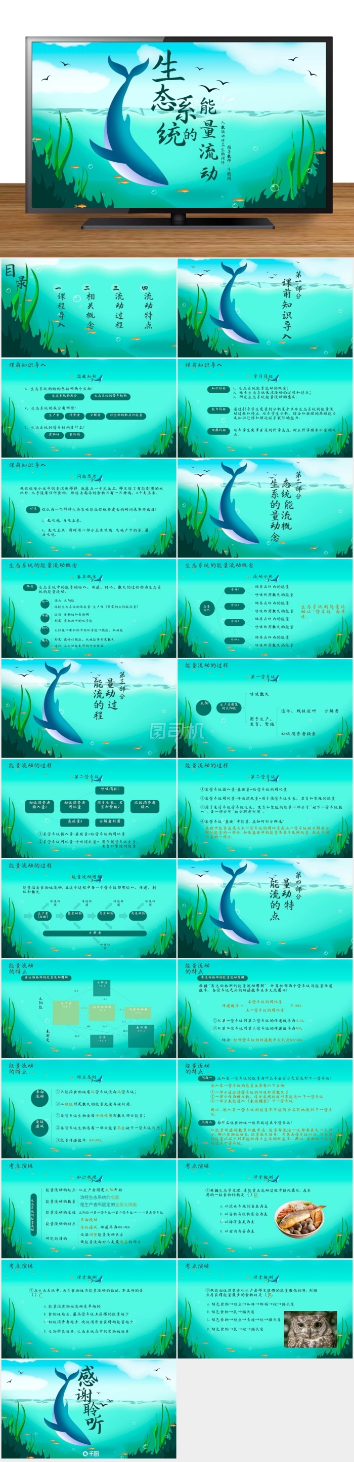 人教版必修生物生態(tài)系統(tǒng)的能量流動(dòng)課件